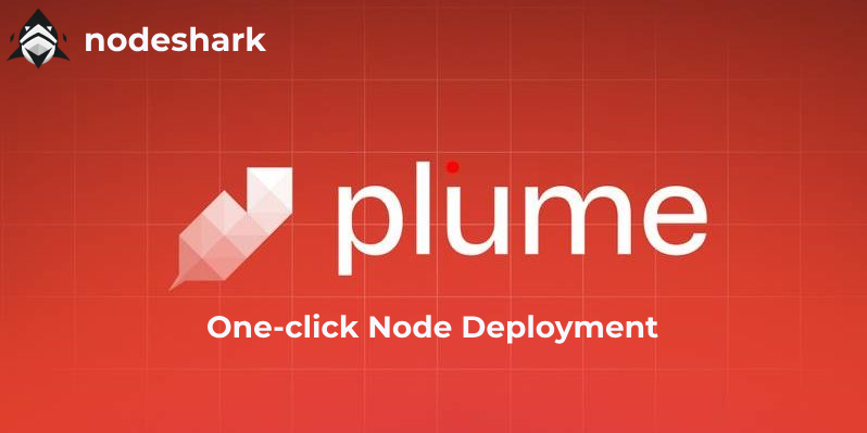 How to Launch Your Plume Network Full Node